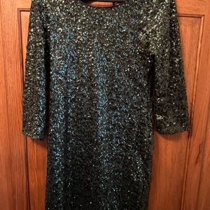 Express Green Sequin Long Sleeve Dress
